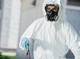 Effektive Lösungen gegen Schädlinge